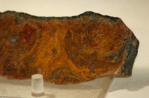 Oregon Maury Mountain Moss Agate 3.2 oz (90 grams) | eBay
