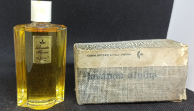 Borsari & Figli LAVANDA ALPINE UNIQUE PERFUME RARE vintage 50ML made italy parma
