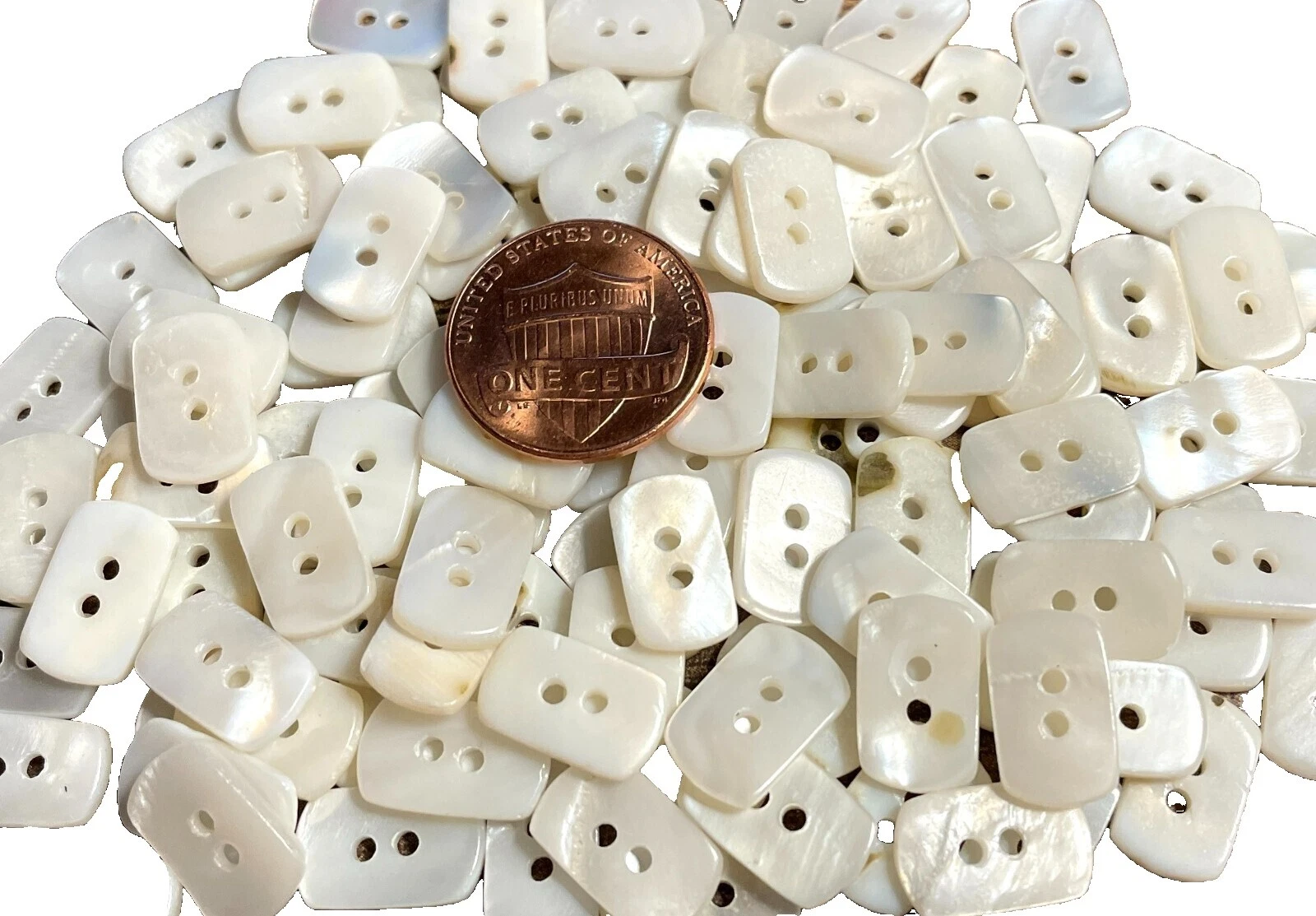 服装白色珍珠母缝纫纽扣