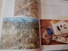 Foto 12 di 15