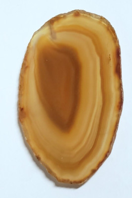 Agate Crystal Geode Slab Cut Polished Rock Slice Wavy Brown Banding - FREE SHIPP