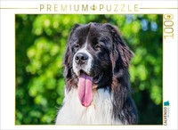 Calvendo Puzzle Portrait Of A Landseer Bitch | 1000 Pieces, Finished Size 25.2 ×