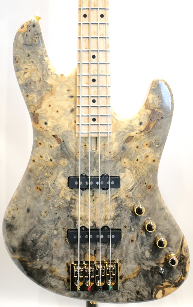 Phoenix Bomber Bass / BB-4 Buckeye Burl TOP & Birdseye Maple F.B