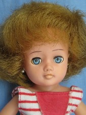 Pedigree Little Miss Vogue doll
