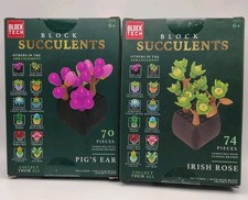 (Set Of 2) Block Succulents Pigs Ear 70pcs & ...