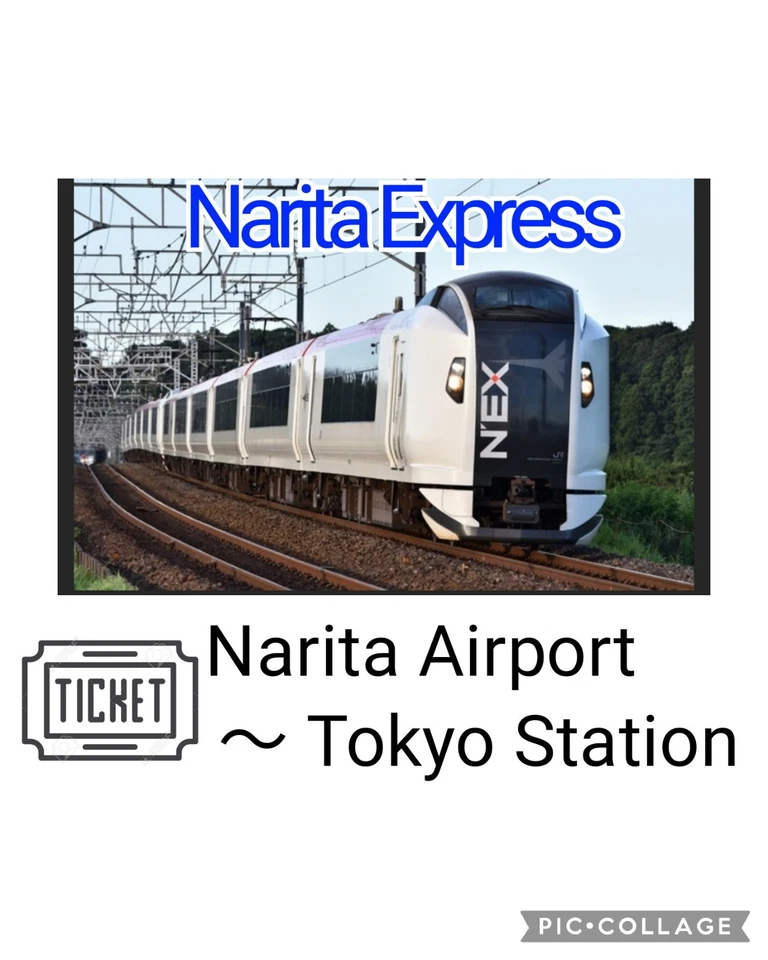 【KOSTENLOSER VERSAND】Japan JR Express Zugticket Narita Flughafen Tokio Bahnhof Tour