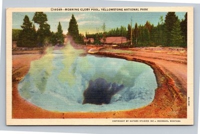 Vintage Morning Glory Pool Yellowstone National Park Linen Postcard