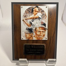 Ted Williams The Splendid Splinter 7