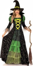 Leg Avenue Women's 2 Piece Storybook Witch Costume