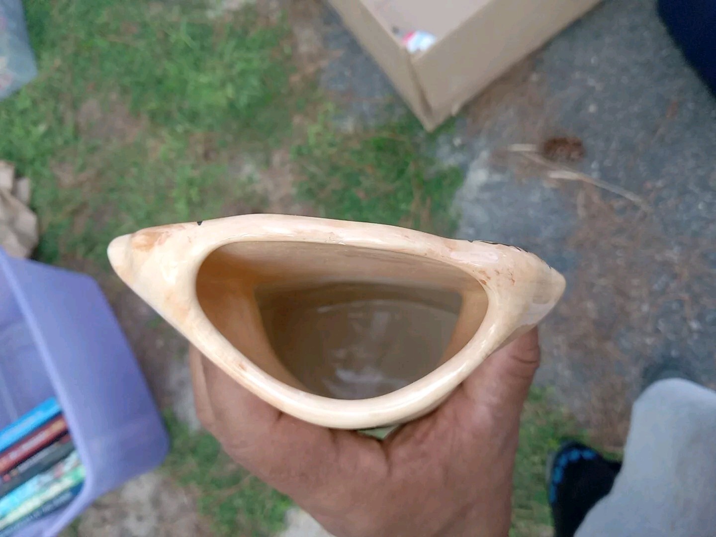 Picture 5 of 5
