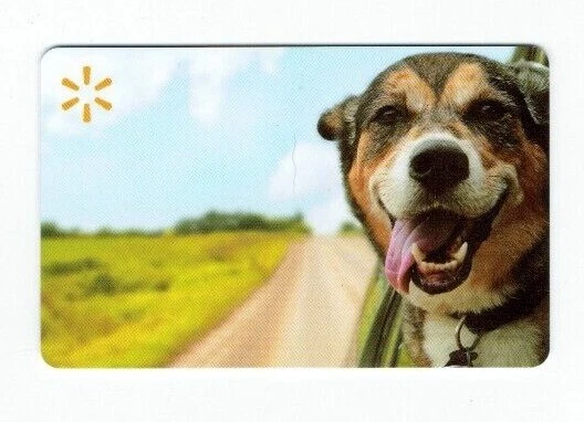Walmart dog cheap