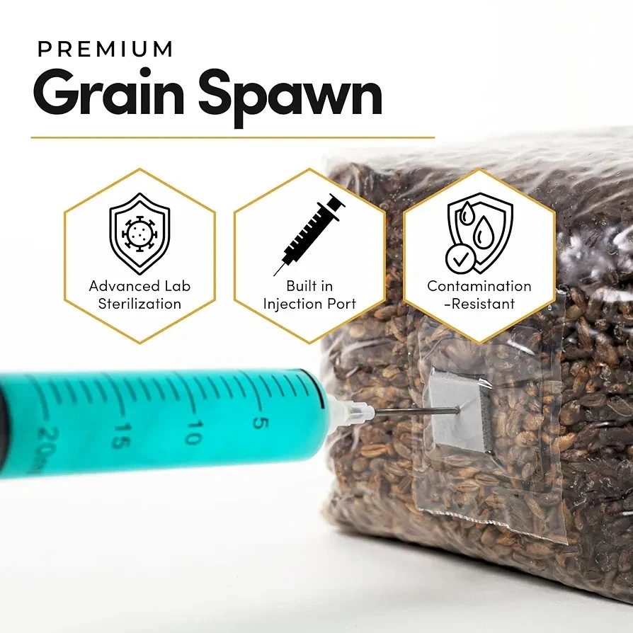 Kit Coltivazione Funghi Monotub 32 qt Camera Frutta Trasparente - Immagine 3 di 4