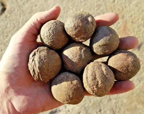 8 Moqui Marbles/Shaman Stones • 1.50" - 1.75" Diameter • 1.5 Pounds