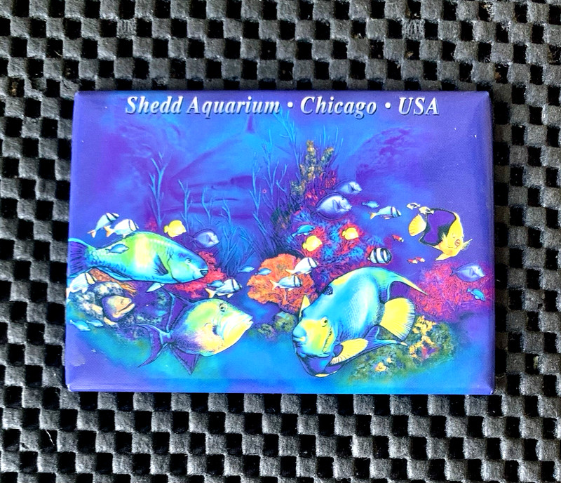 SHEDD AQUARIUM CHICAGO USA PHOTO MAGNET 3 1/2" X 2 1/2" NOS