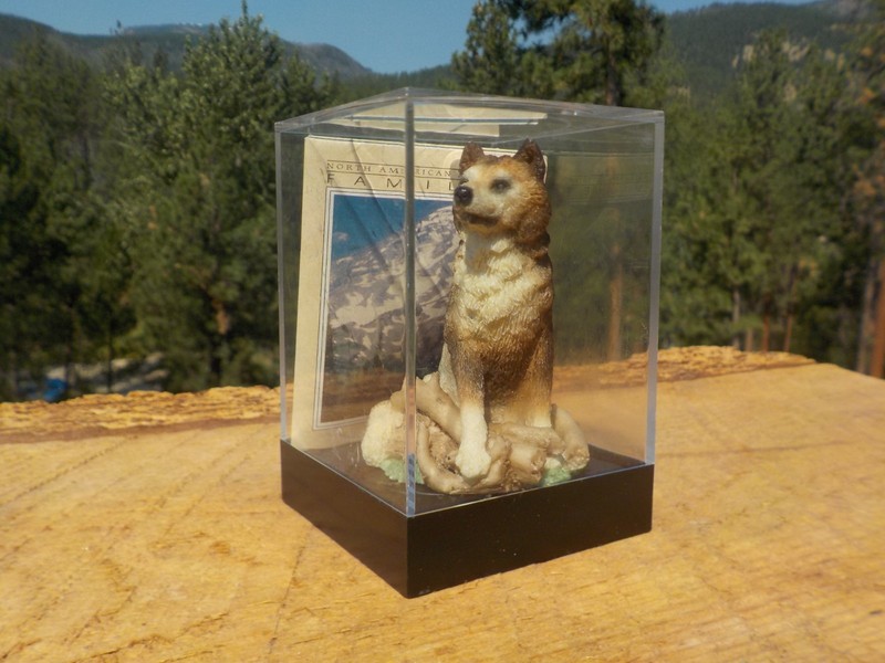 Earth Home Red Wolf Figurine EH-835 w/Case and Pamphlet 
