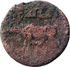  on The Hot Collector