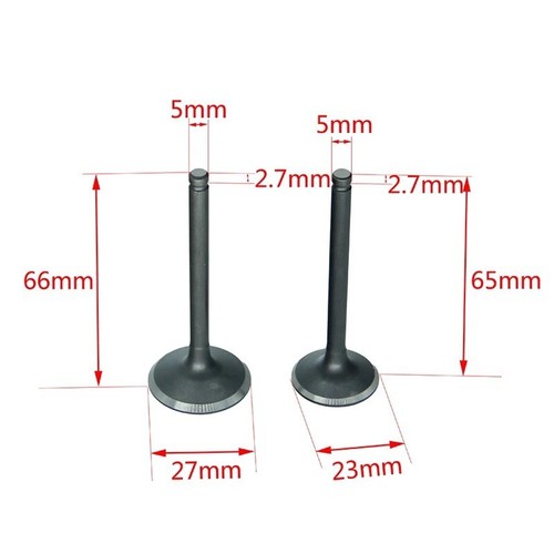 Coppia 2 Valvole Quad Pit Bike YX 4t 50 70 90 110 125cc Kayo Lem 23x65x5-27x66x5 - Bild 2 von 2
