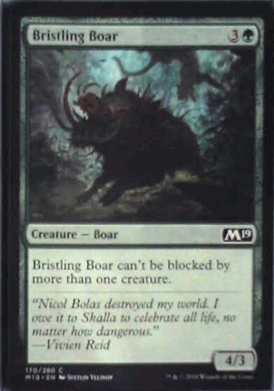 Bristling Boar - Core Set 2019: #170, Magic: The Gathering Nm R139