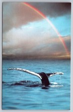 Rainbow Humpback Whale Atlantic Ocean Vintage Postcard Cape Ann Mass.
