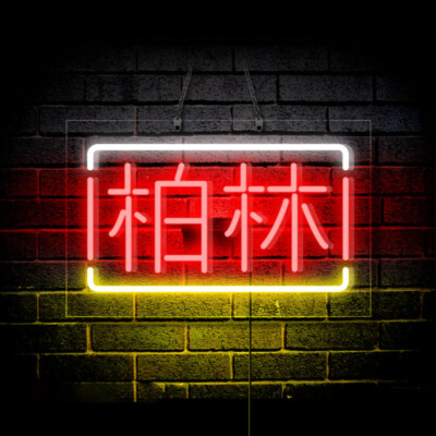 Chinese Character Berlin Neon Light Capital of Germany Letter Sign Gift 20''