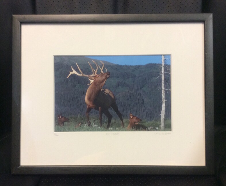 Picture 2 of 12