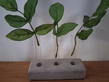 Plant Cutting Propagation Station with Concrete Stand  3 Glass Test Tubes NEW
