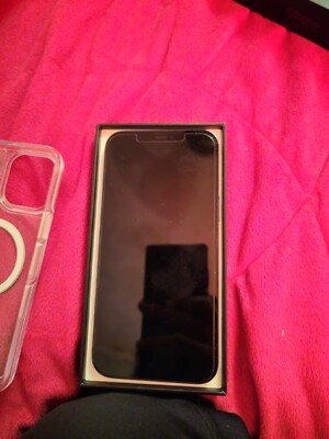 Apple iPhone 12 Pro Max - 256GB - Pacific Blue (Unlocked) A2342 (CDMA + GSM)