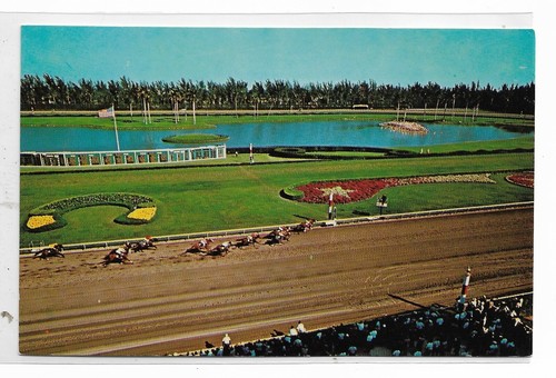 VTG Postcard Hileah Park Horse Park, Hileah, Florida