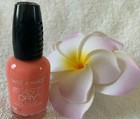 wet n wild***fastdry***Nail Color~DON'T BE SO KOI #242A~0.46 FL OZ/13.5 mL~~NEW — photo 1