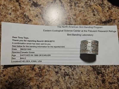 1999 100% CHELSEA, IOWA Canada Goose CALL 800 327 Band 0918 Duck Bird Call Leg