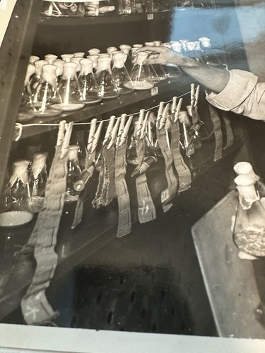 Dr. Norman E. Borlaug Portrait Photograph Penicillin Antibiotic 1944 Nobel Prize - Picture 4 of 10