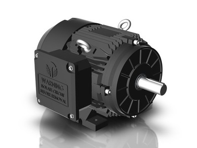 Techtop GR3-CI-TF-256T-2-BR-D-20 Motor 20 HP 3600 Rpm 3-PH 230/460 Volt 256T