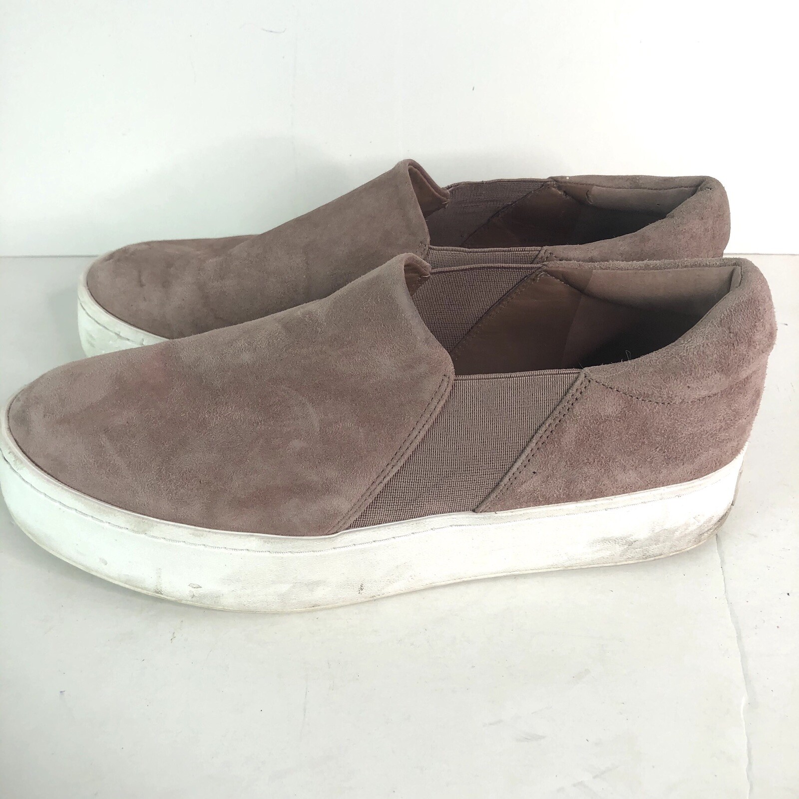 vince warren hydrangea