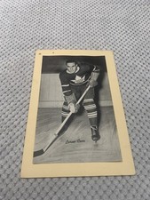 - Group 1 BeeHive Hockey Photo - Lorne Carr