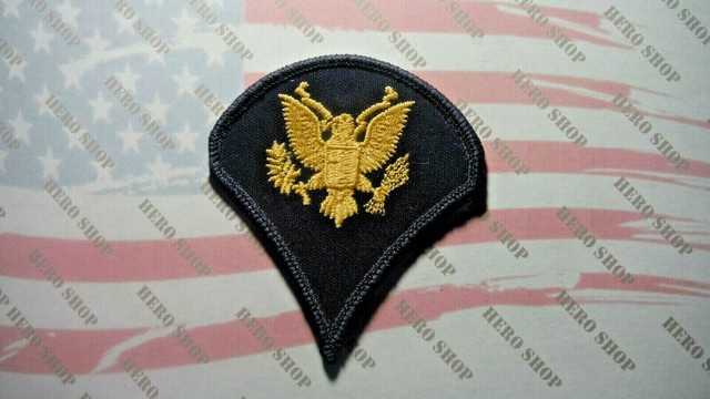 US Army Rank E4 Specialist Dress Blue Female Pair EBay