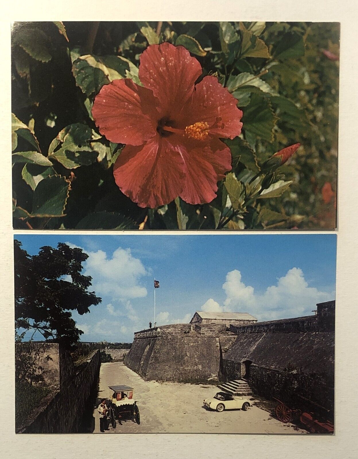 Postcard Lot - Nassau Bahamas (20 cards)