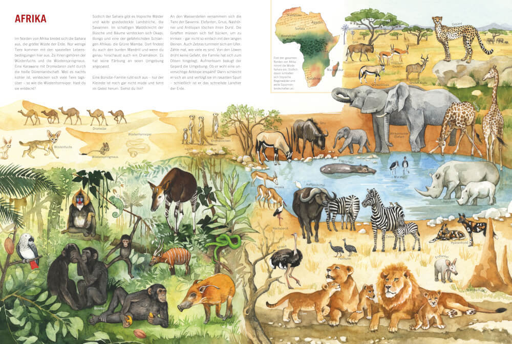 Thumbnail - Mein Großer Tieratlas