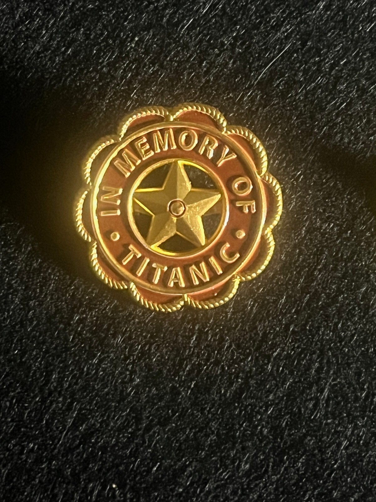 RMS TITANIC SURVIVORS Pin, only presented to 212 crew members who survived