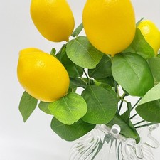 Piante di limone artificiale verde primavera artistica talee crea un look fresco