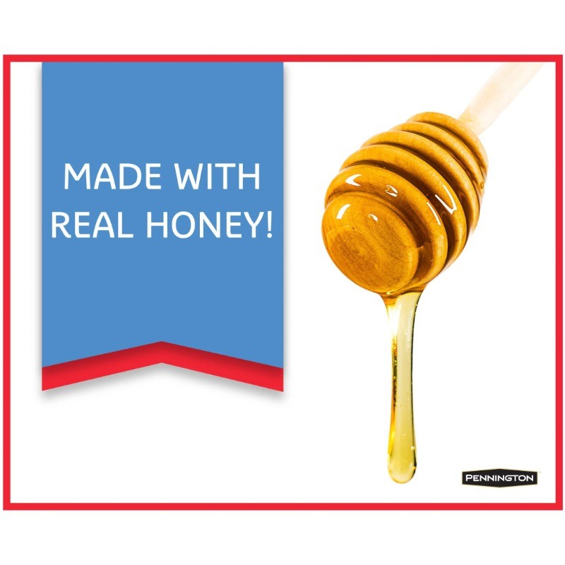 (2 pack) Pennington Nut and Fruit Treat Bell, Wild Bird Feed and Seed, 15 oz.