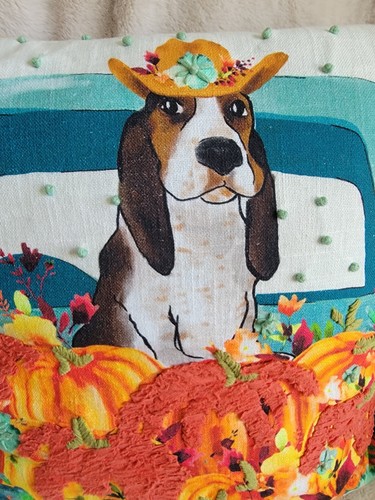 Pioneer Woman Pillow 18x18” Charlie Hound Dog Autumn Pumpkin Tassle Embroidered - Picture 2 of 7