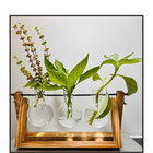 Plant Propagation Station Indoor Glass Vase Holder | Hydroponic Test Tube Plant