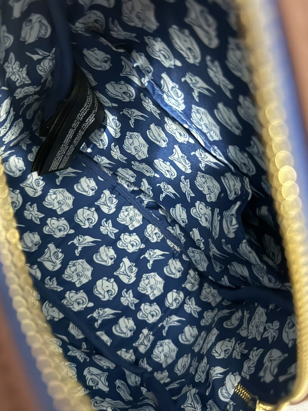 Foto 19 di 23