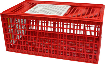 Transportbox Transportkiste Kunststoff für Geflügel  B/T/H: 96 x 56,5 x 44 cm