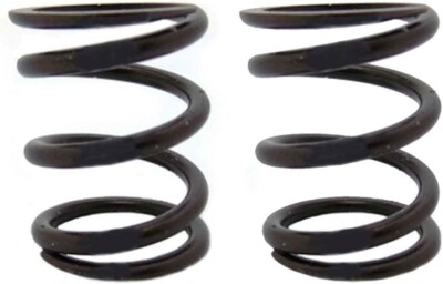 ARC Racing 22lb HP Valve Spring (Set of 2) for Predator 212 | 224 ...