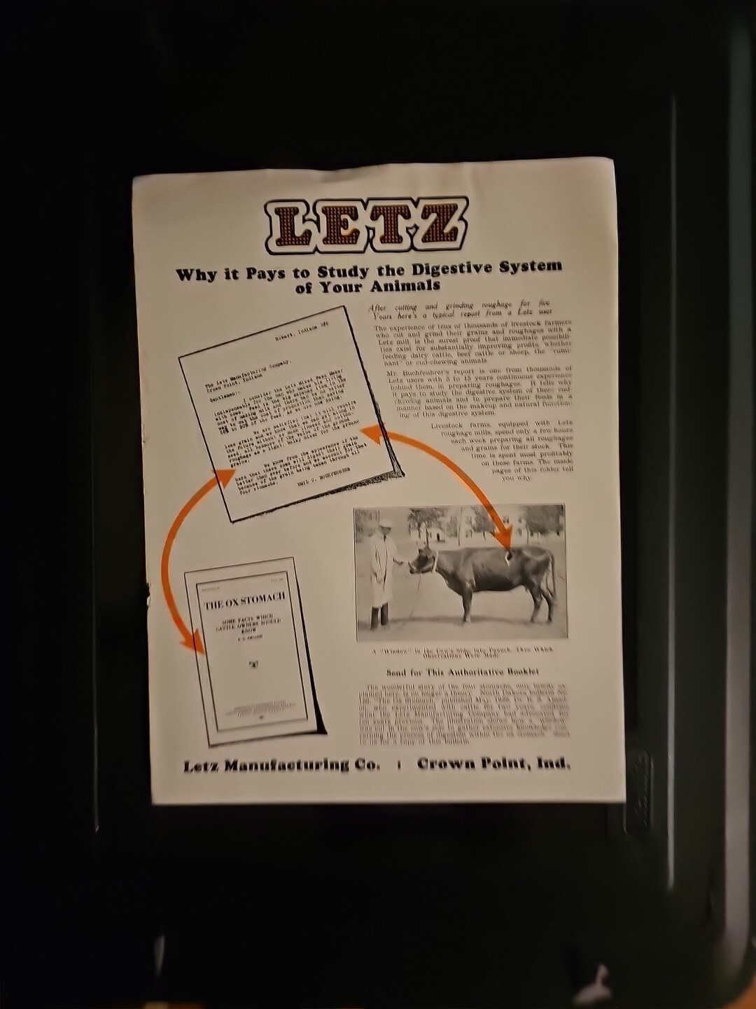 Each Letz Model Vintage 1930's Letz Manufacturing Company Farm Animal Digestive System ...