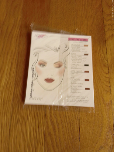 Lote 6 tarjetas de muestra vintage Mary Kay sombra de ojos rubor lápiz labial 1999 más bolsa con cremallera - Imagen 15 de 18