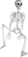3ft/36inch Skeleton for Halloween, Realistic Skeleton with Posable Joints