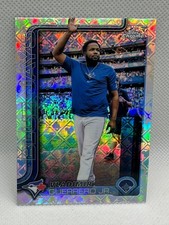 2025 Topps Chrome Logofractor Vladimir Guerrero Jr Image Variation