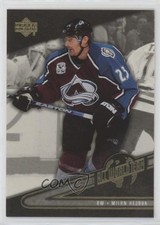 2006-07 Upper Deck All World Team Milan Hejduk #AW10 7o1